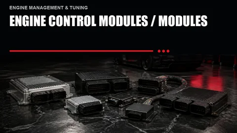 Engine Control Modules / Modules