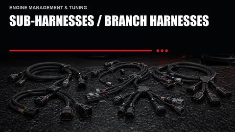 Sub-Harnesses / Branch Harnesses