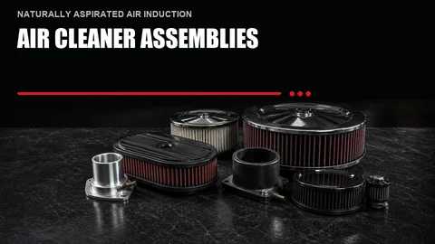 Air Cleaner Assemblies