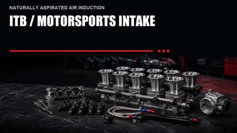ITB / Motorsports Intake