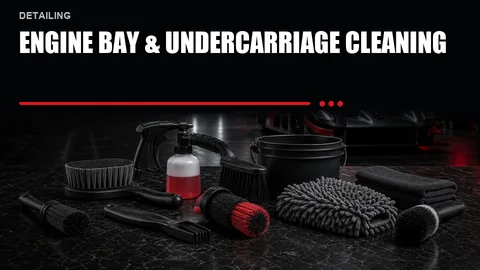 Engine Bay & Undercarriage Cleaning