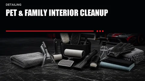Pet & Family Interior Cleanup