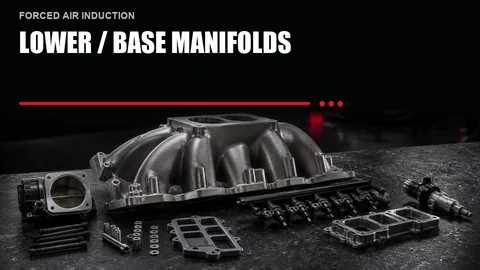 Lower / Base Manifolds